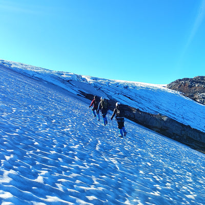 Glaciological Day Tour - Neltume