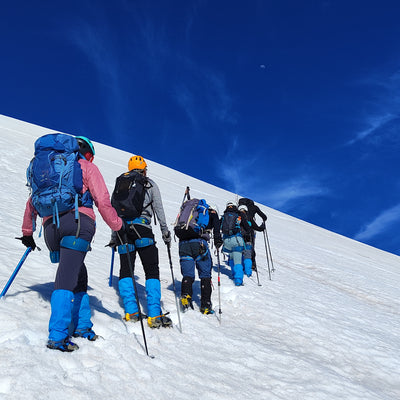 Ascent to the Mocho Choshuenco volcano - Choshuenco experience