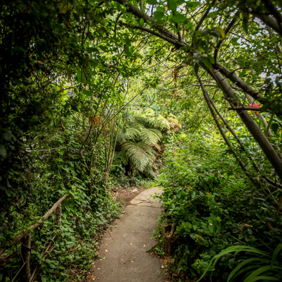 Hostal la Casa del Carpintero, Double rooms - Coñaripe