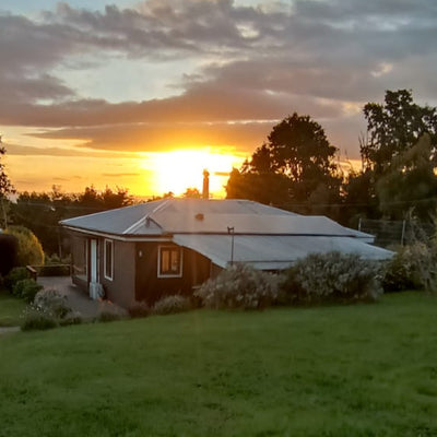 Cabañas Lafquintue - Futrono