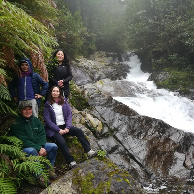 Trekking Cerro Pico Toribio - Ranco