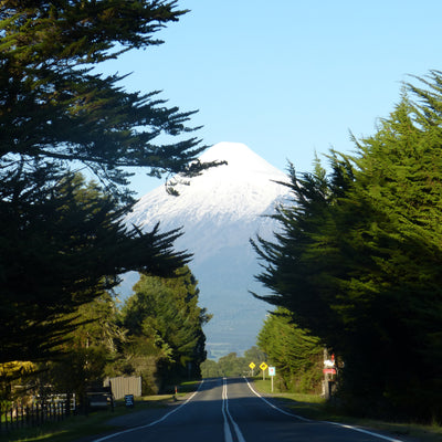 Puerto Octay Volcano Cabin and Tiny House - 2 people
