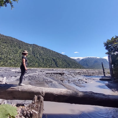 Trekking Ventisquero Amarillo - Parque Pumalín
