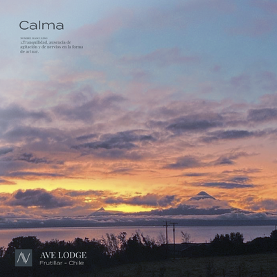 Cabin - Ave Lodge Frutillar