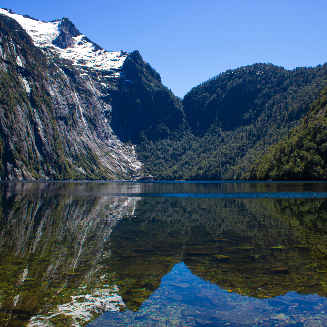 Trekking Parque Nacional Alerce Andino Puerto Varas Rut nica
