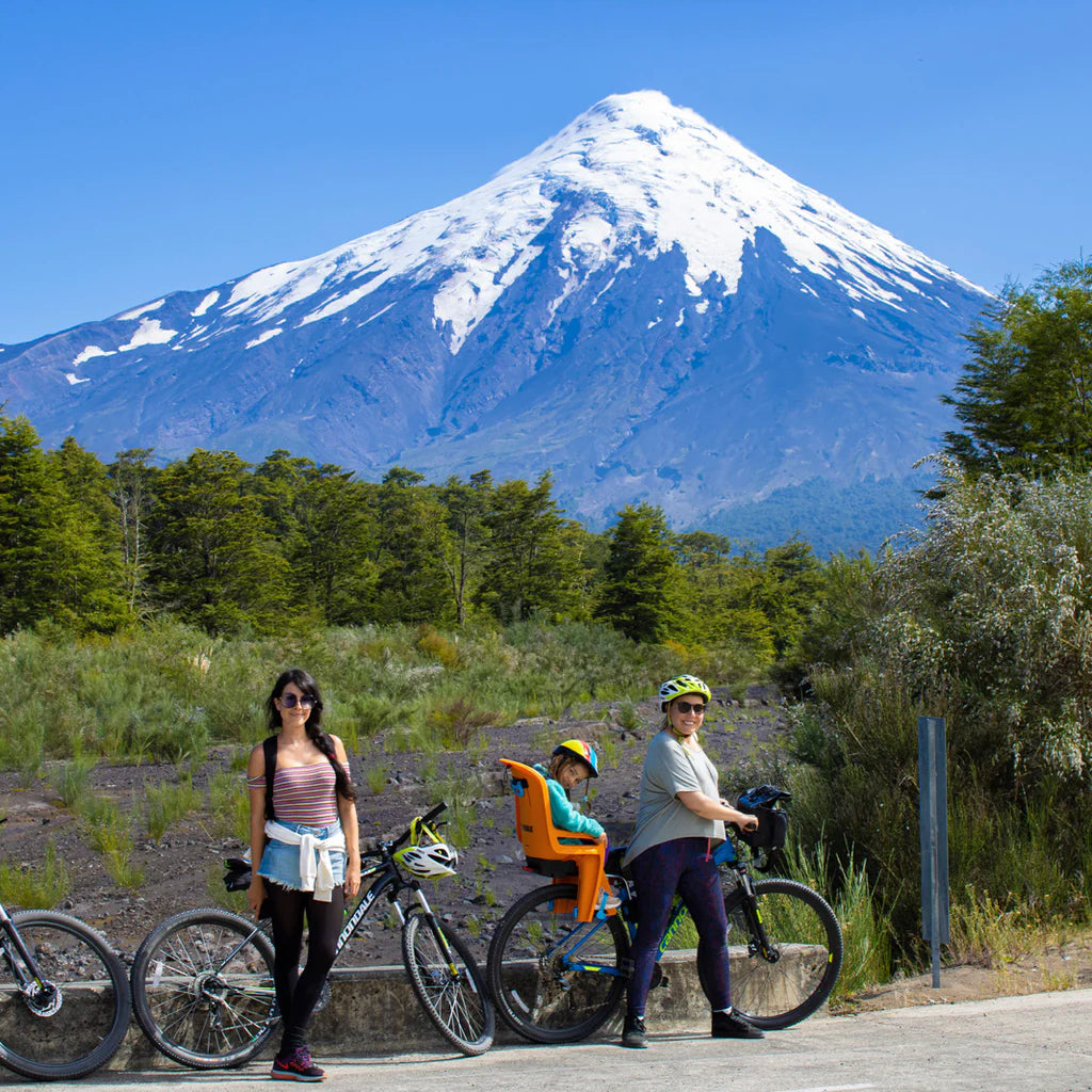 12 panoramas para disfrutar en familia de la primavera en Panguipulli, Llanquihue, Puyehue y Ranco