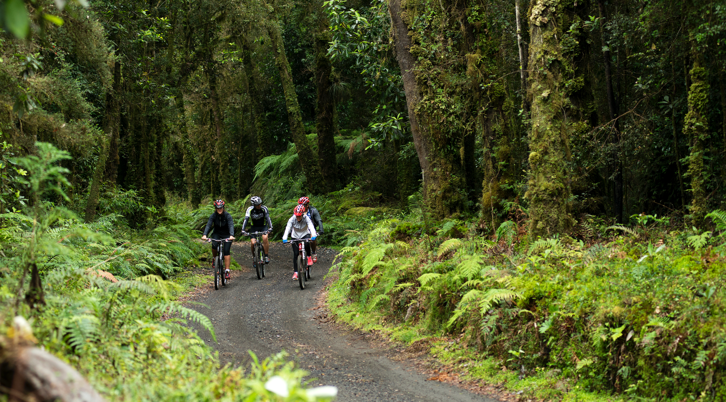 Adventure and gastronomy: Discover unmissable Panoramas for the Day in Puyehue, Llanquihue and Ranco selected by Ruténica
