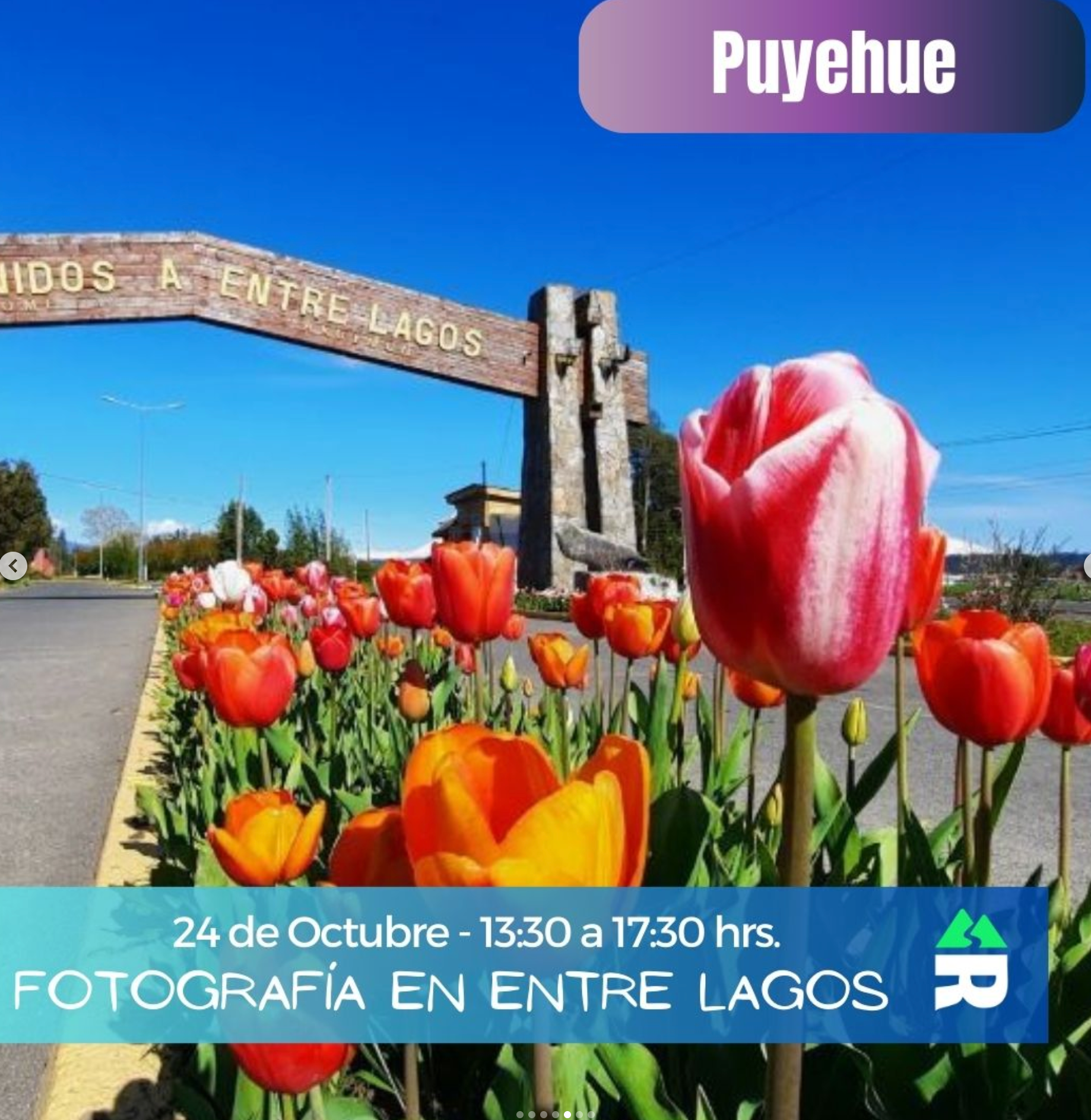 Agenda de octubre: Disfruta de las experiencias únicas que tenemos en Puerto Varas, Puyehue y Panguipulli