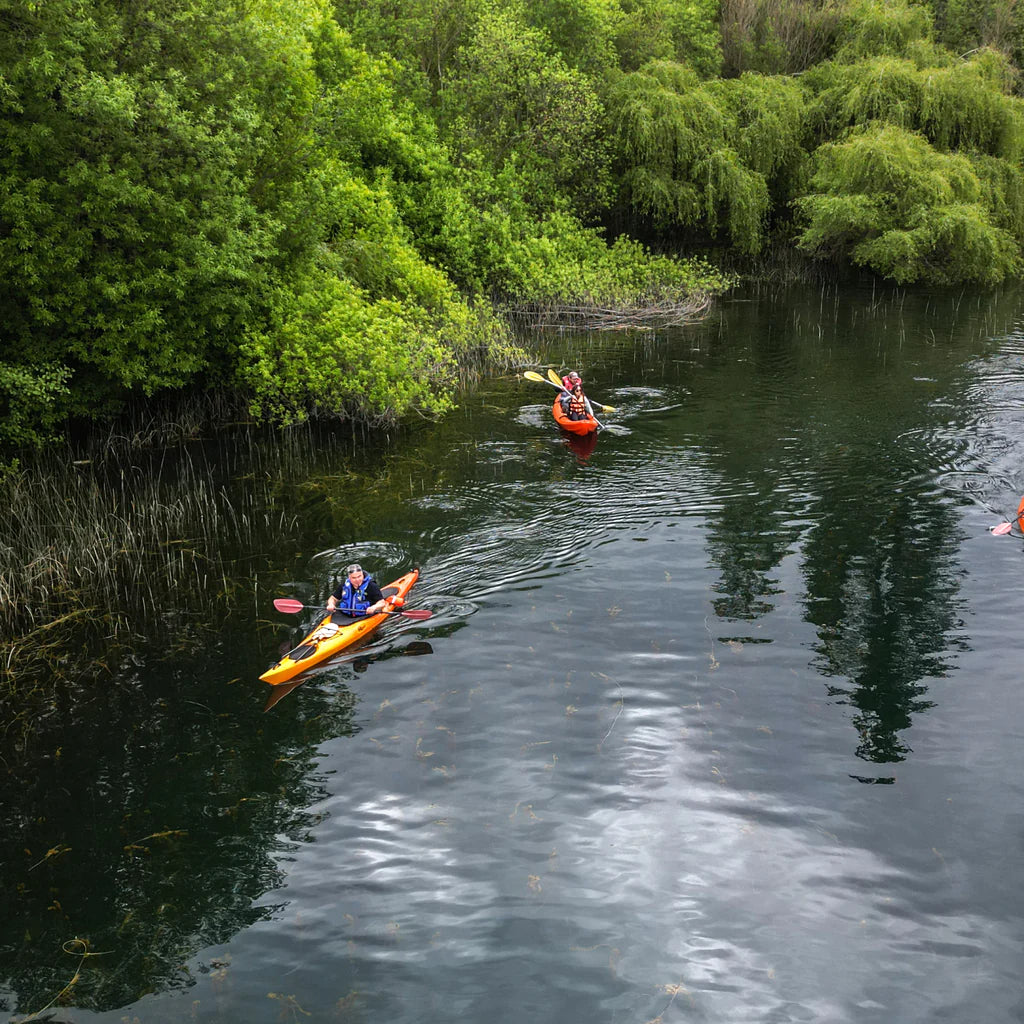 Desde “Pesca Mágica” a “Cosechar tu Propio Alimento”: Vive experiencias únicas en Los Ríos