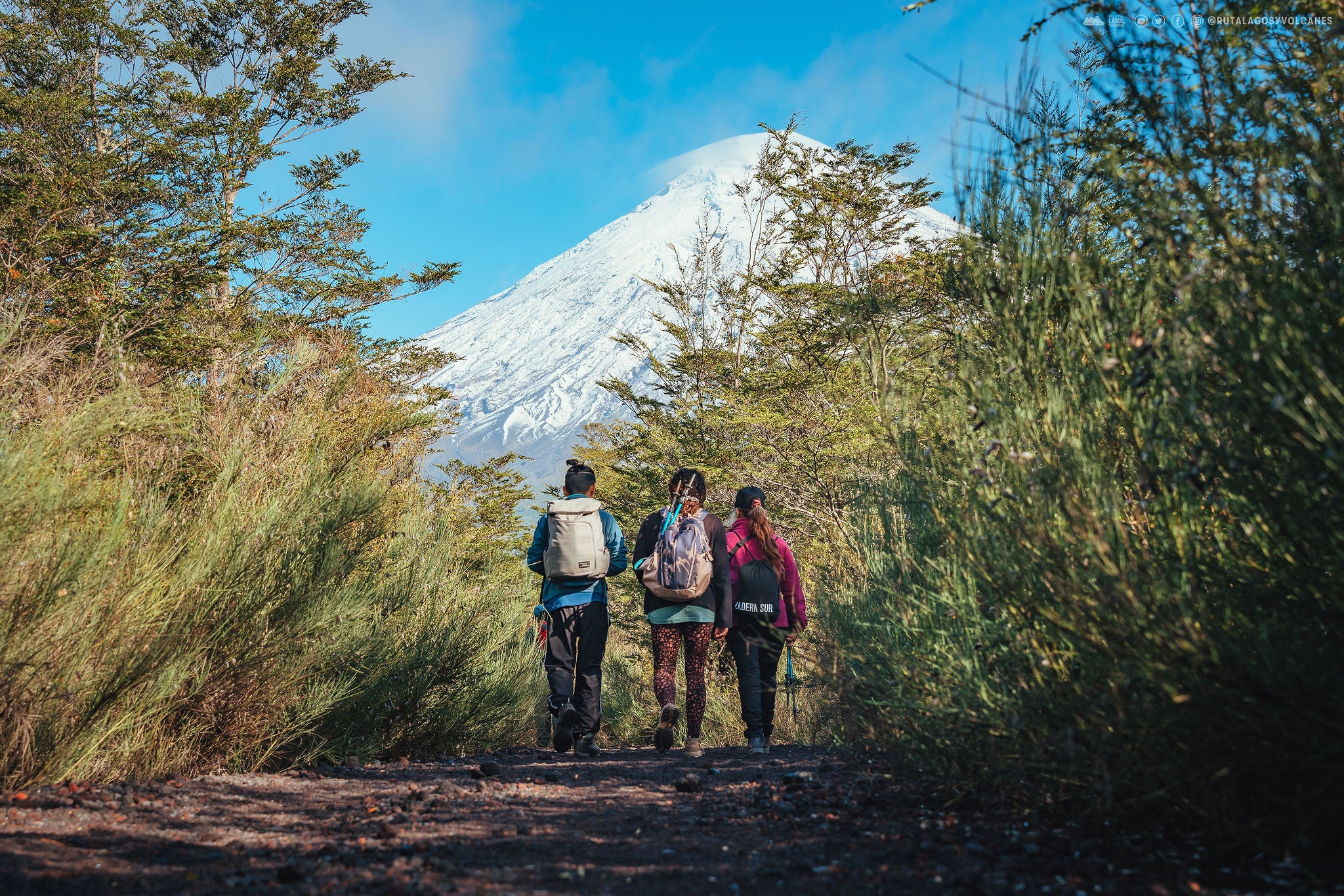 Experiencias Únicas: Los 7 mejores "trekkings" de la Ruta Lagos y Volcanes