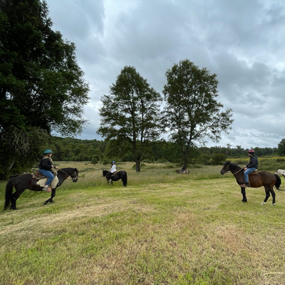 Reserva Natural El Triwe