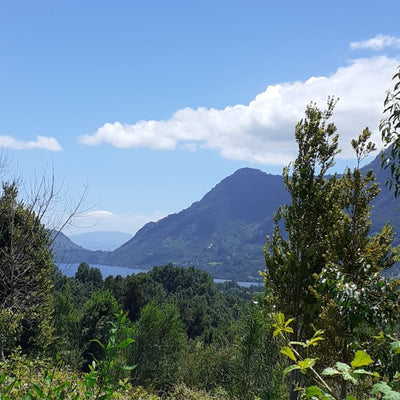 Turismo de Naturaleza Saltos Miradores del Ranco