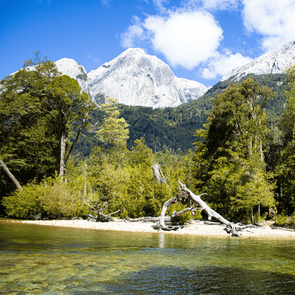 Trekking Valle La Junta, Cochamó - Puerto Varas