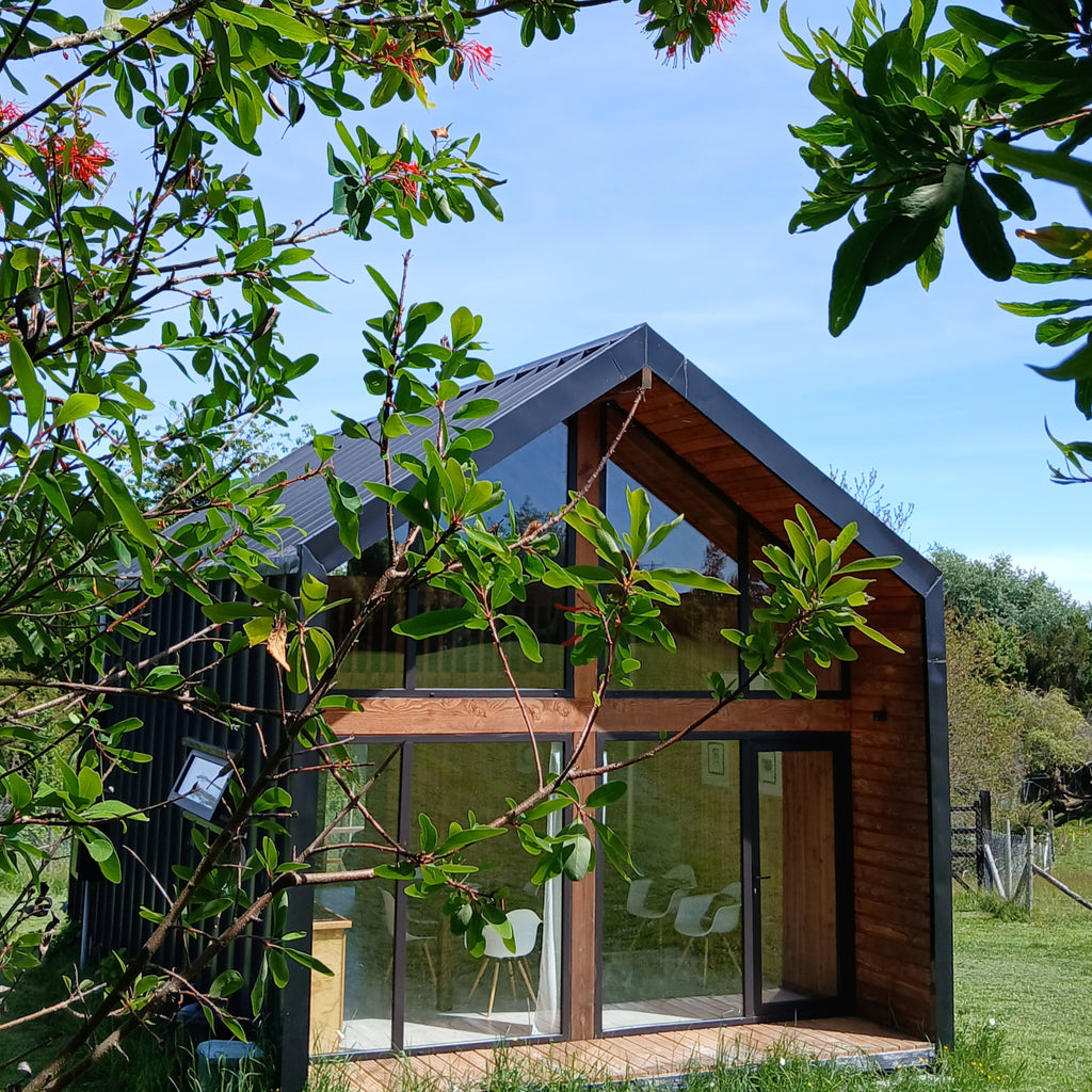 Tiny House Volcán (2 personas) - Puerto Octay