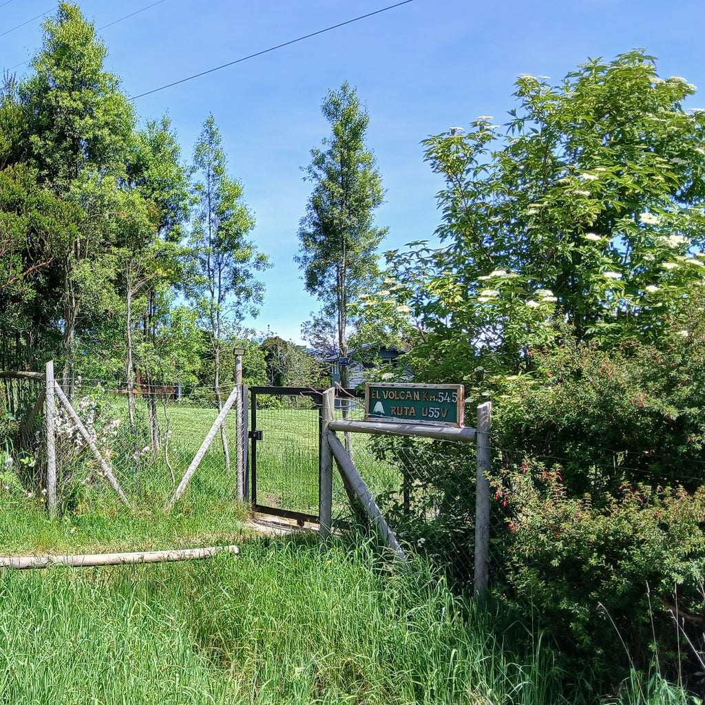 Tiny House Volcán (2 personas) - Puerto Octay