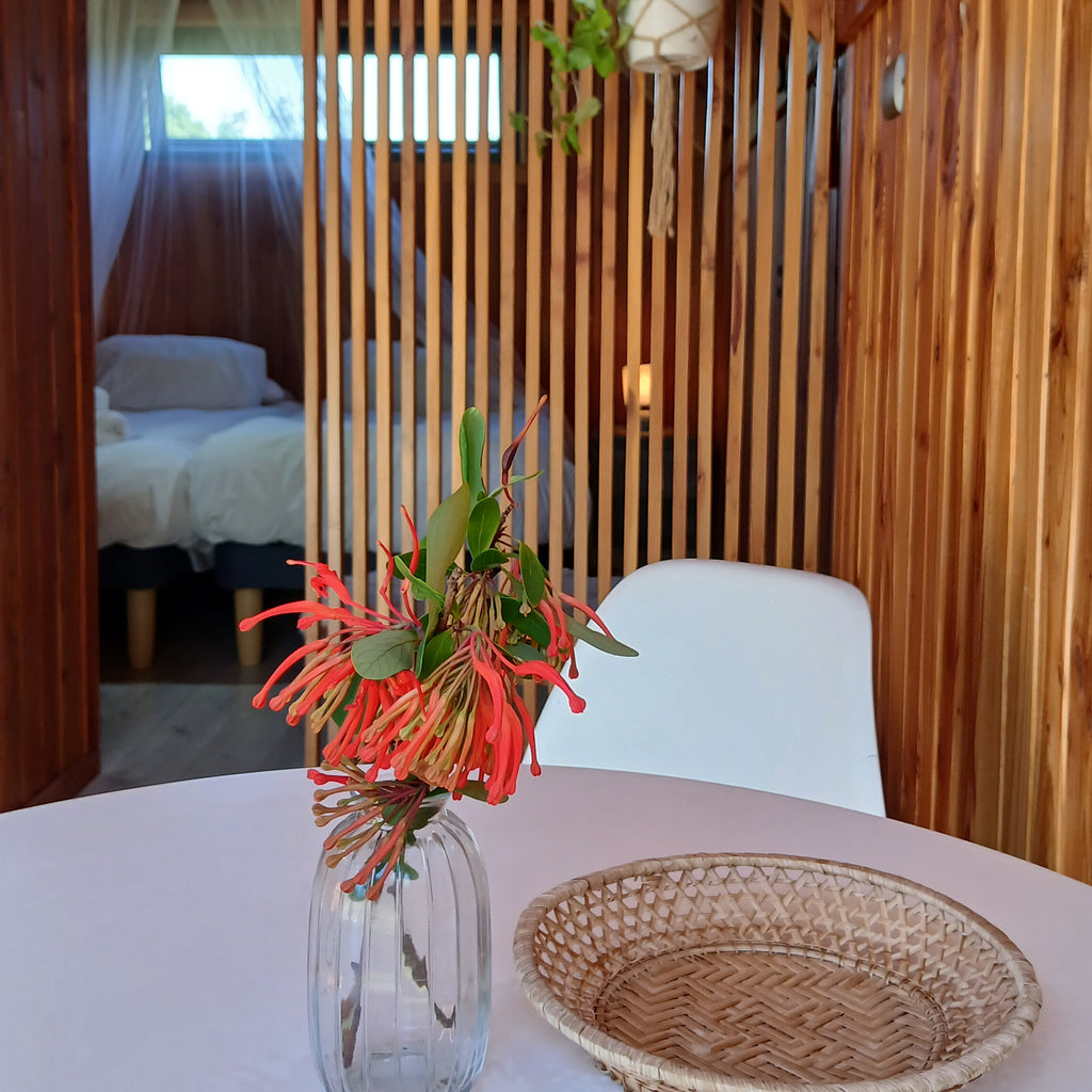 Tiny House Volcán (2 personas) - Puerto Octay