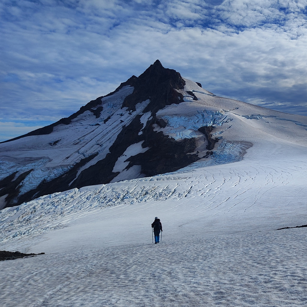Tour Glaciológico  por el día - Neltume