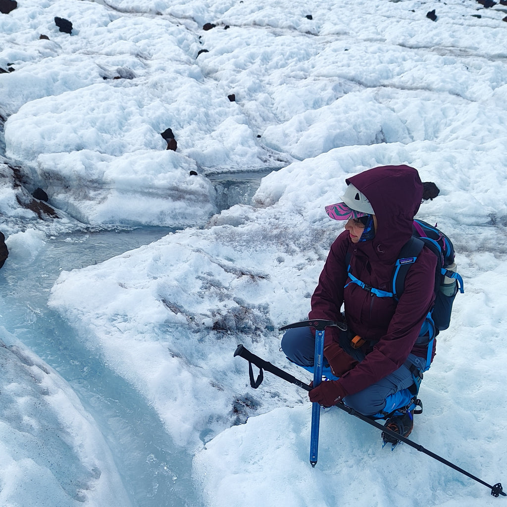 Tour Glaciológico  por el día - Neltume