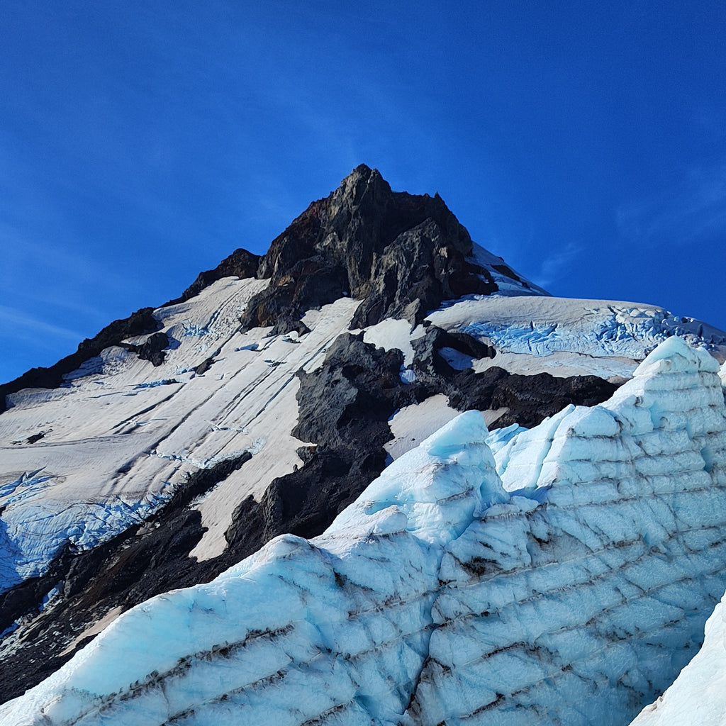 Tour Glaciológico  por el día - Neltume