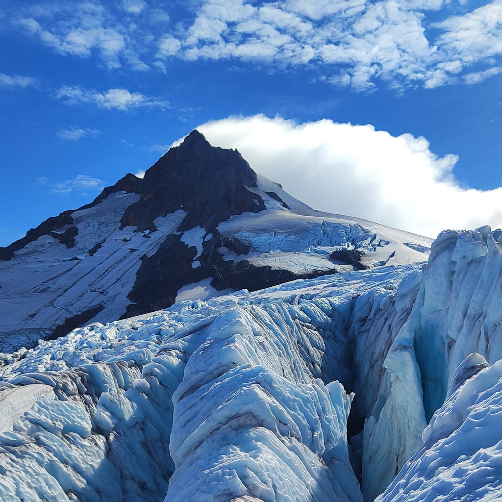 Tour Glaciológico  por el día - Neltume