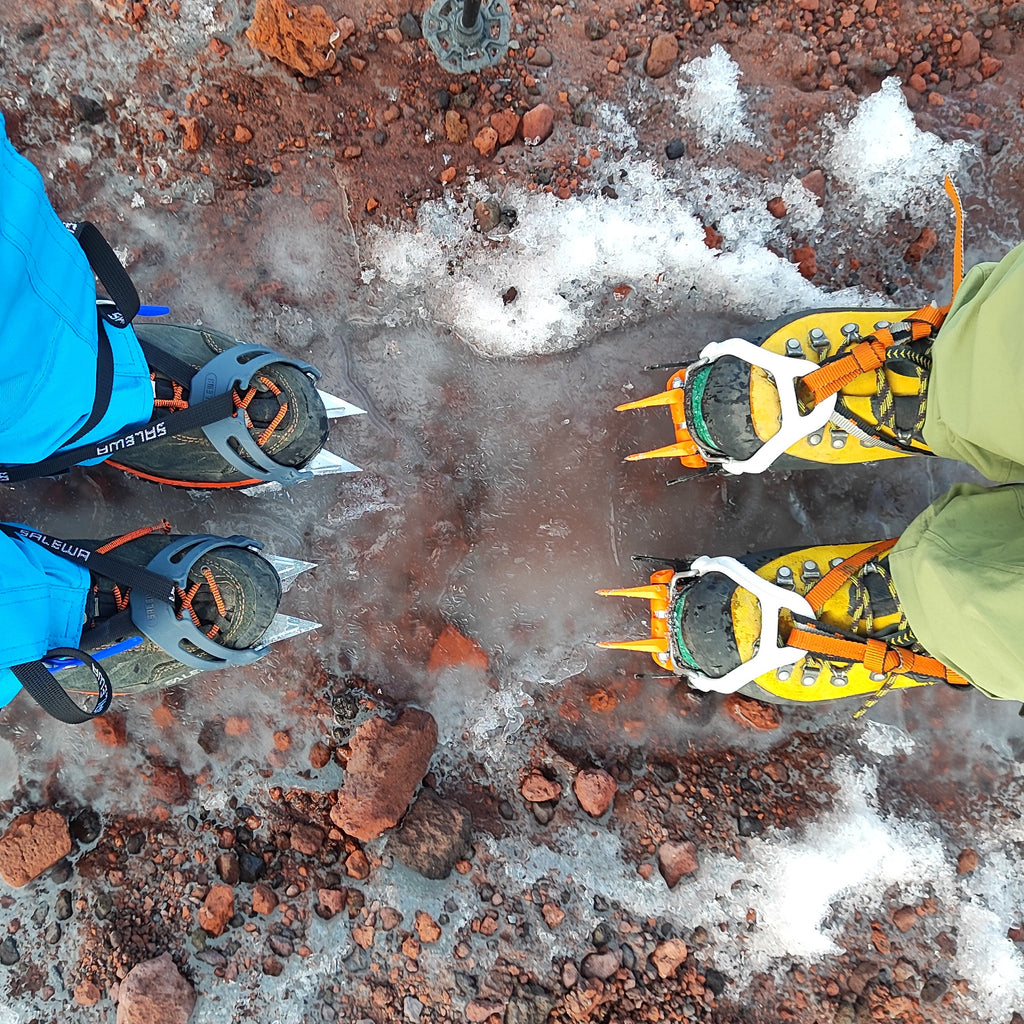 Tour Glaciológico  por el día - Neltume