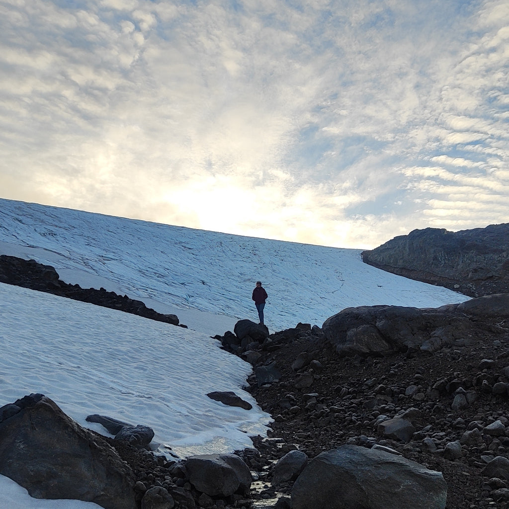 Tour Glaciológico  por el día - Neltume