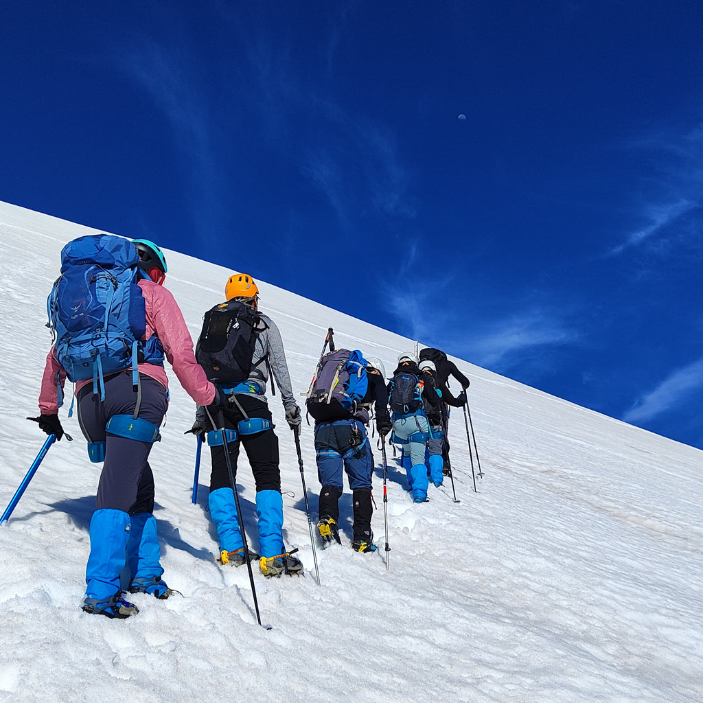 Ascent to the Mocho Choshuenco volcano - Choshuenco experience