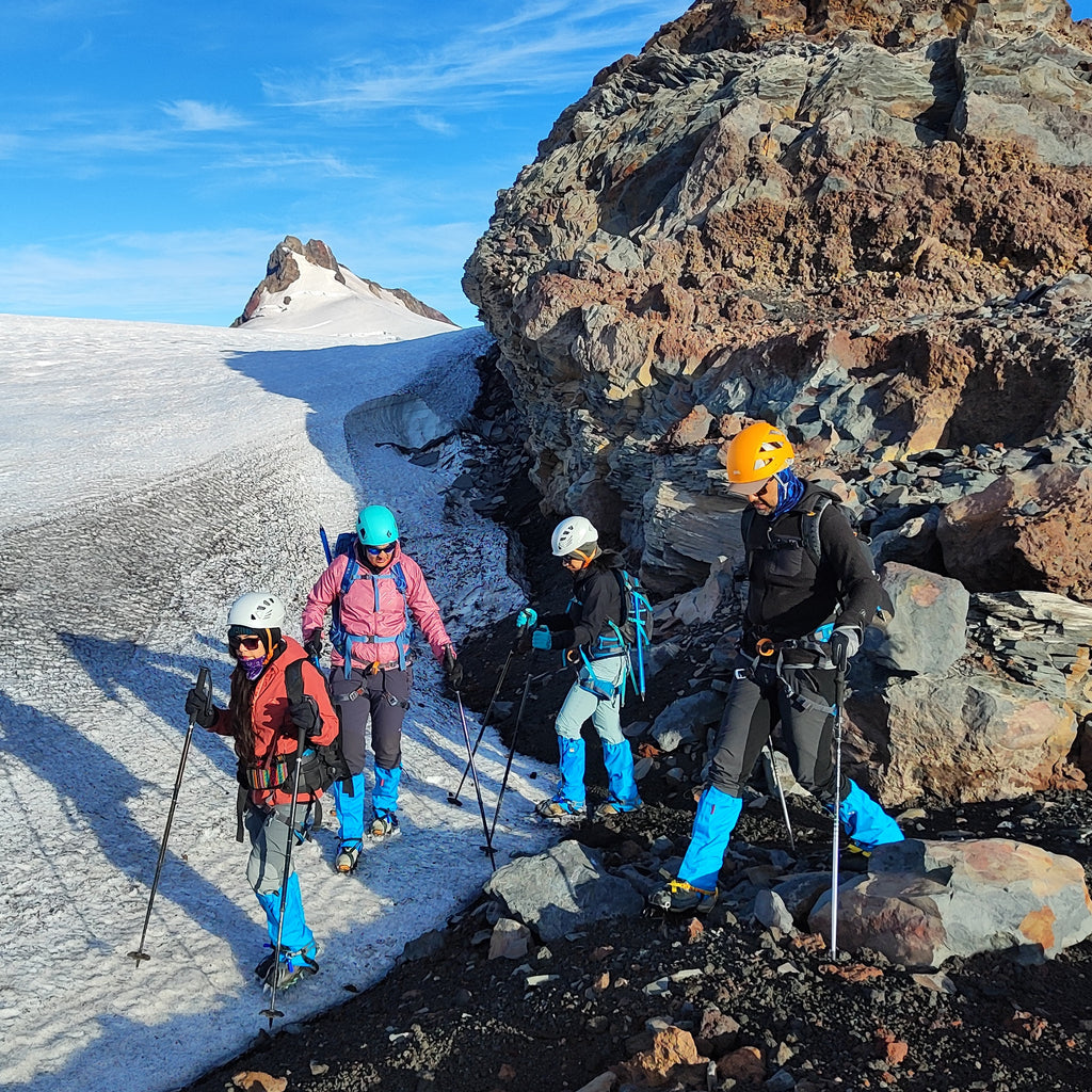 Ascent to the Mocho Choshuenco volcano - Choshuenco experience