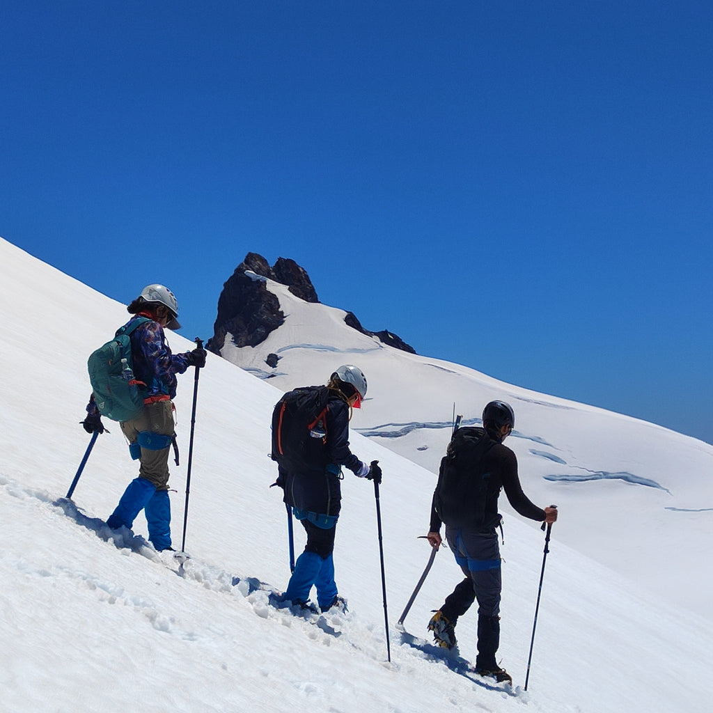 Ascent to the Mocho Choshuenco volcano - Choshuenco experience