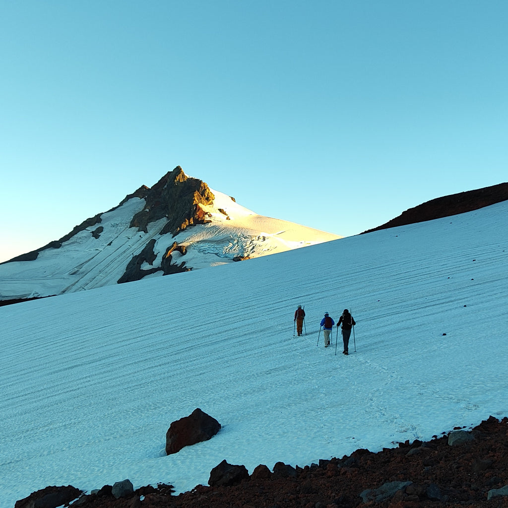 Ascent to the Mocho Choshuenco volcano - Choshuenco experience