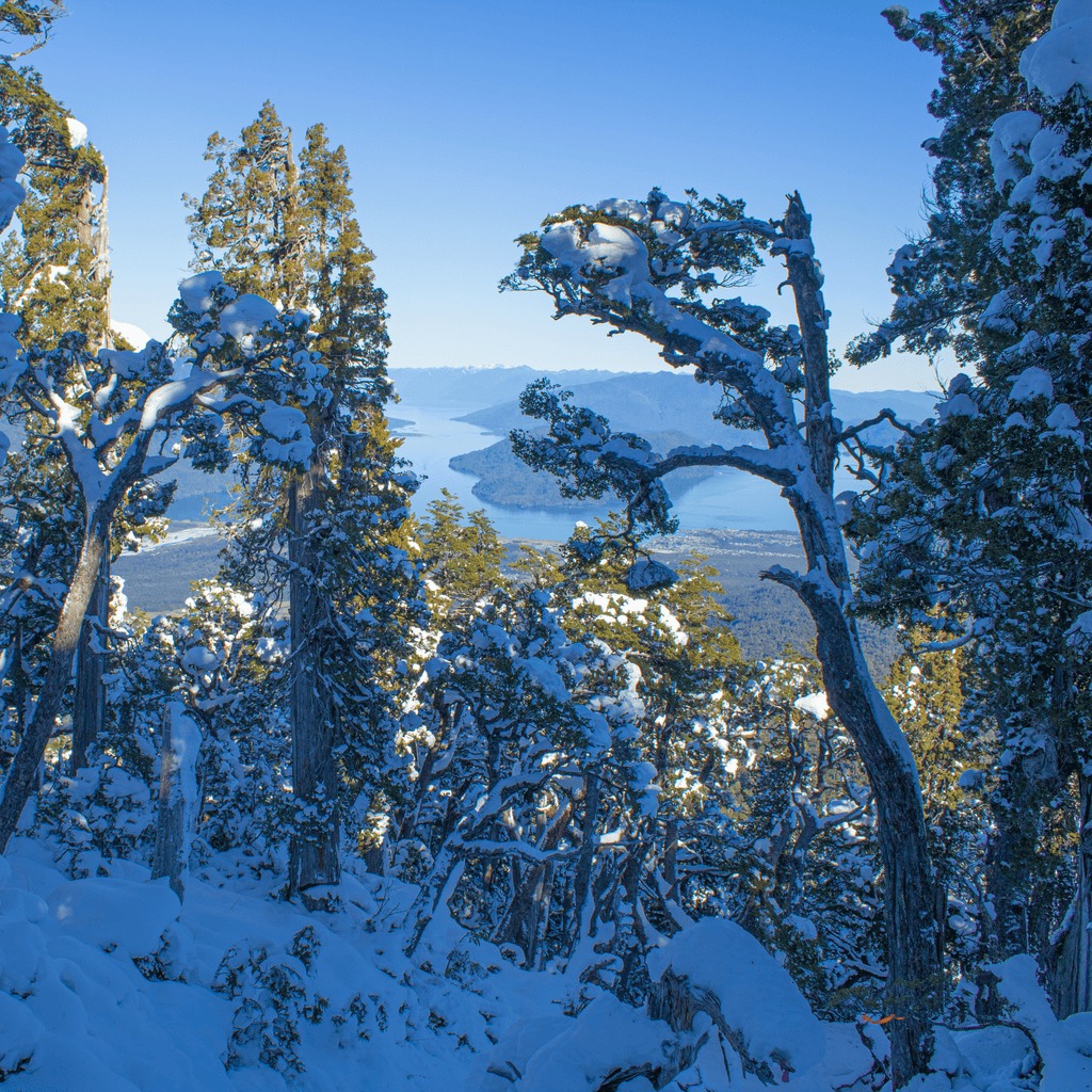 Ascenso Cumbre Volcán Hornopirén - Puerto Varas