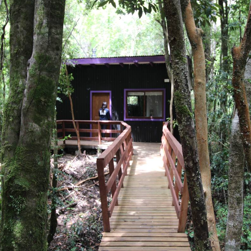 Minicasa Licanray (3 personas) - Licanray