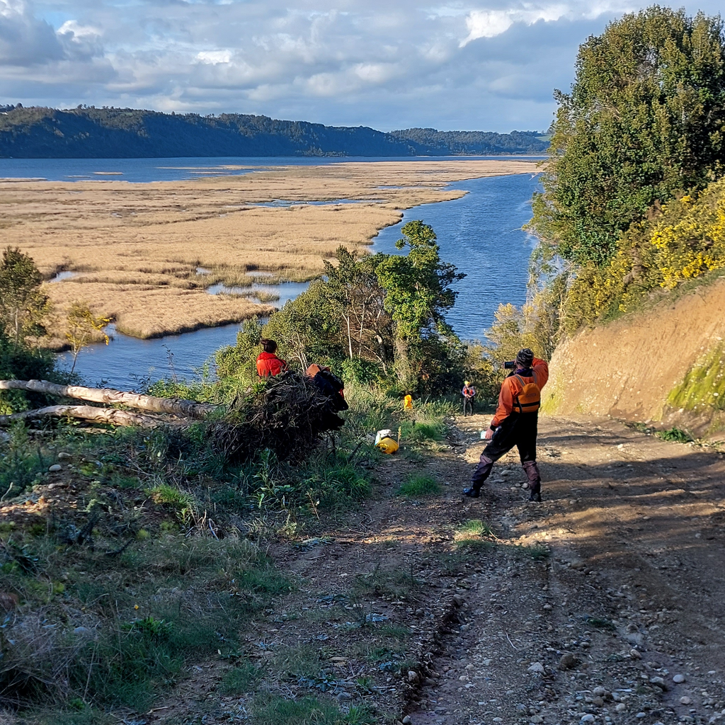 Travesía en kayak por el Río Maullín - 3 días / 2 noches