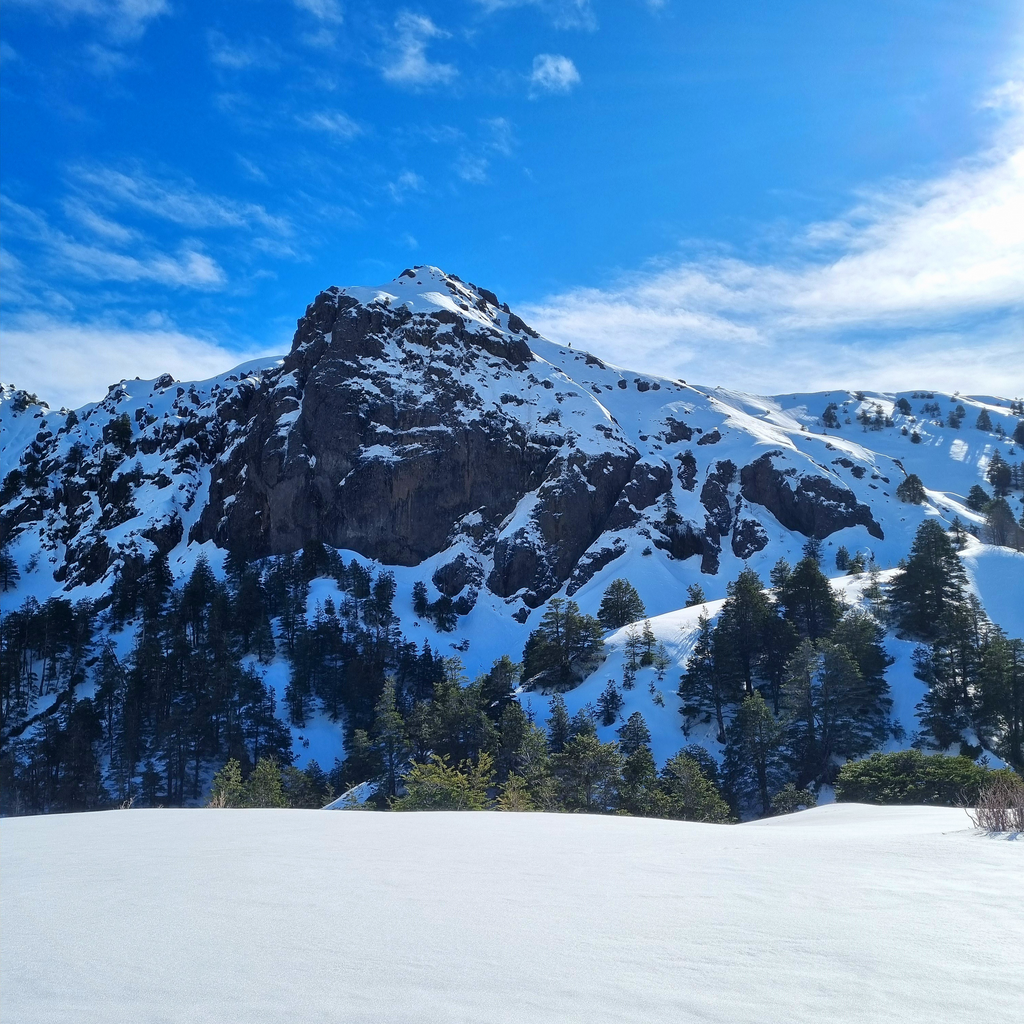 Trekking Mirador Cerro La Picada Invernal - Puerto Varas