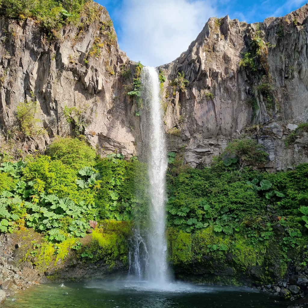 Trekking Reserva Nacional Llanquihue - Puerto Varas