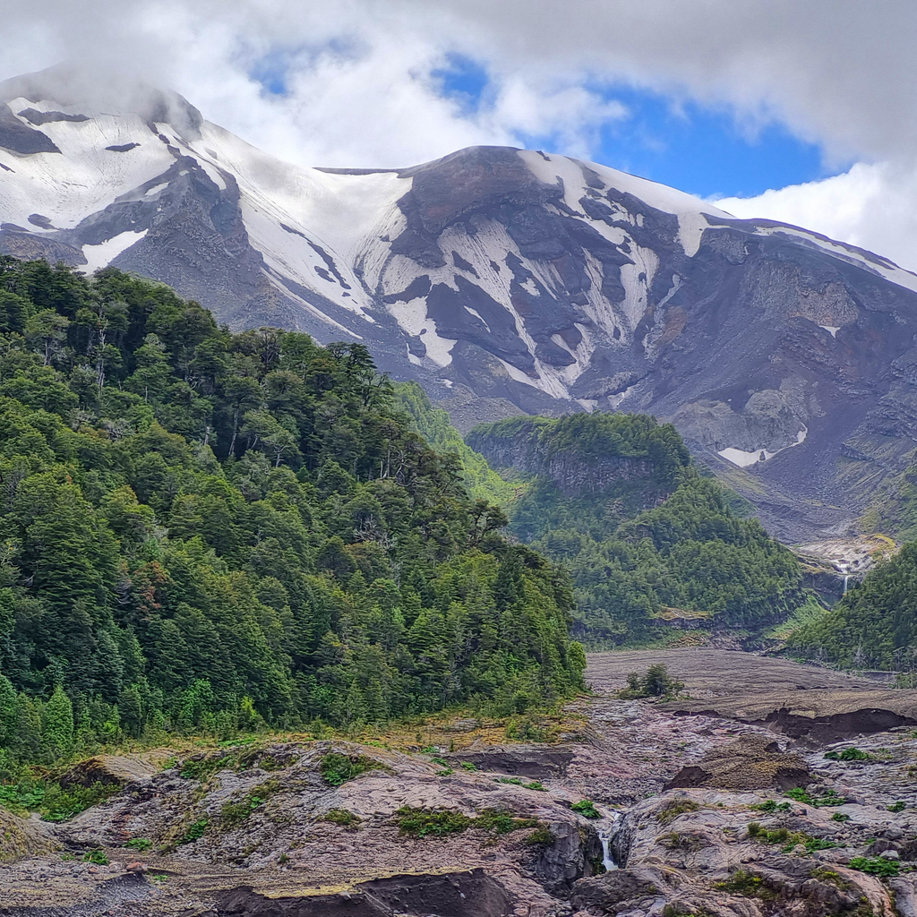 Trekking Reserva Nacional Llanquihue - Puerto Varas