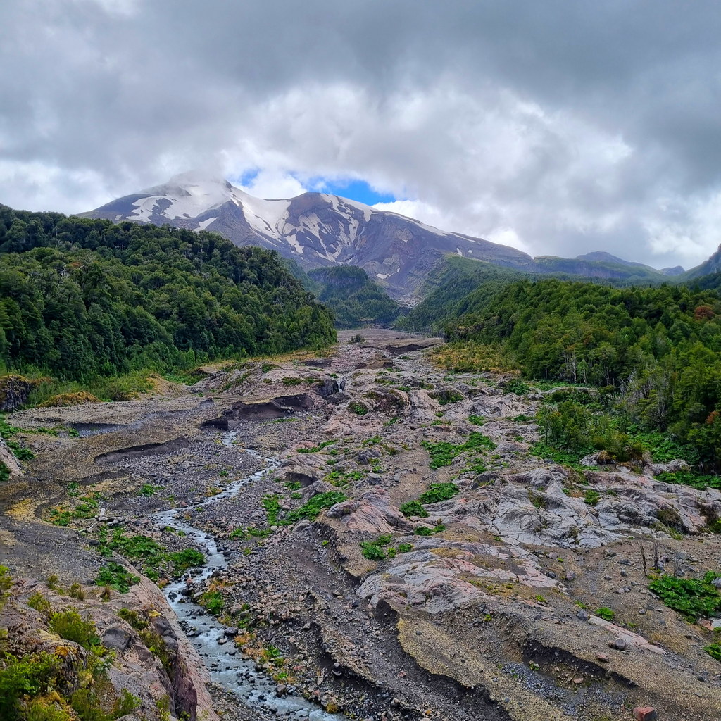 Trekking Reserva Nacional Llanquihue - Puerto Varas