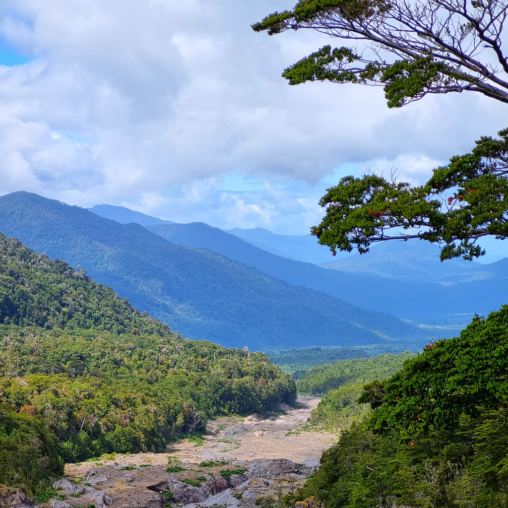 Trekking Reserva Nacional Llanquihue - Puerto Varas