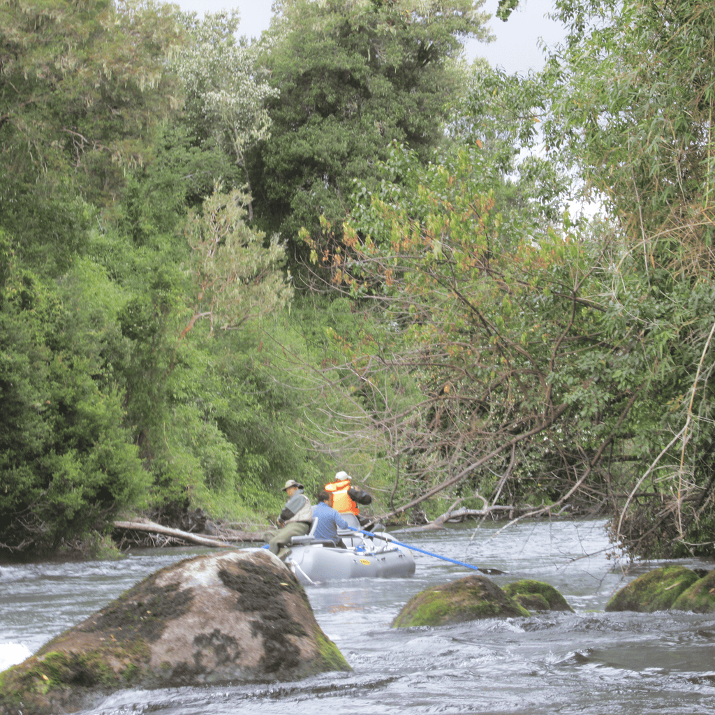 Excursión de Pesca - Puerto Octay