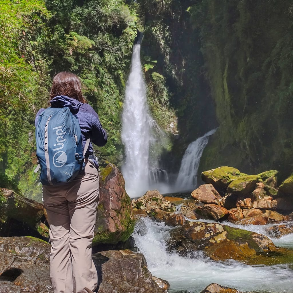 Sendero Alerces Milenarios y Cascada Escondida - Parque Pumalín