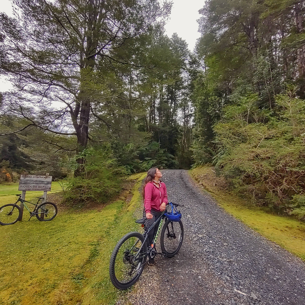 Bike Tour - Parque Pumalín