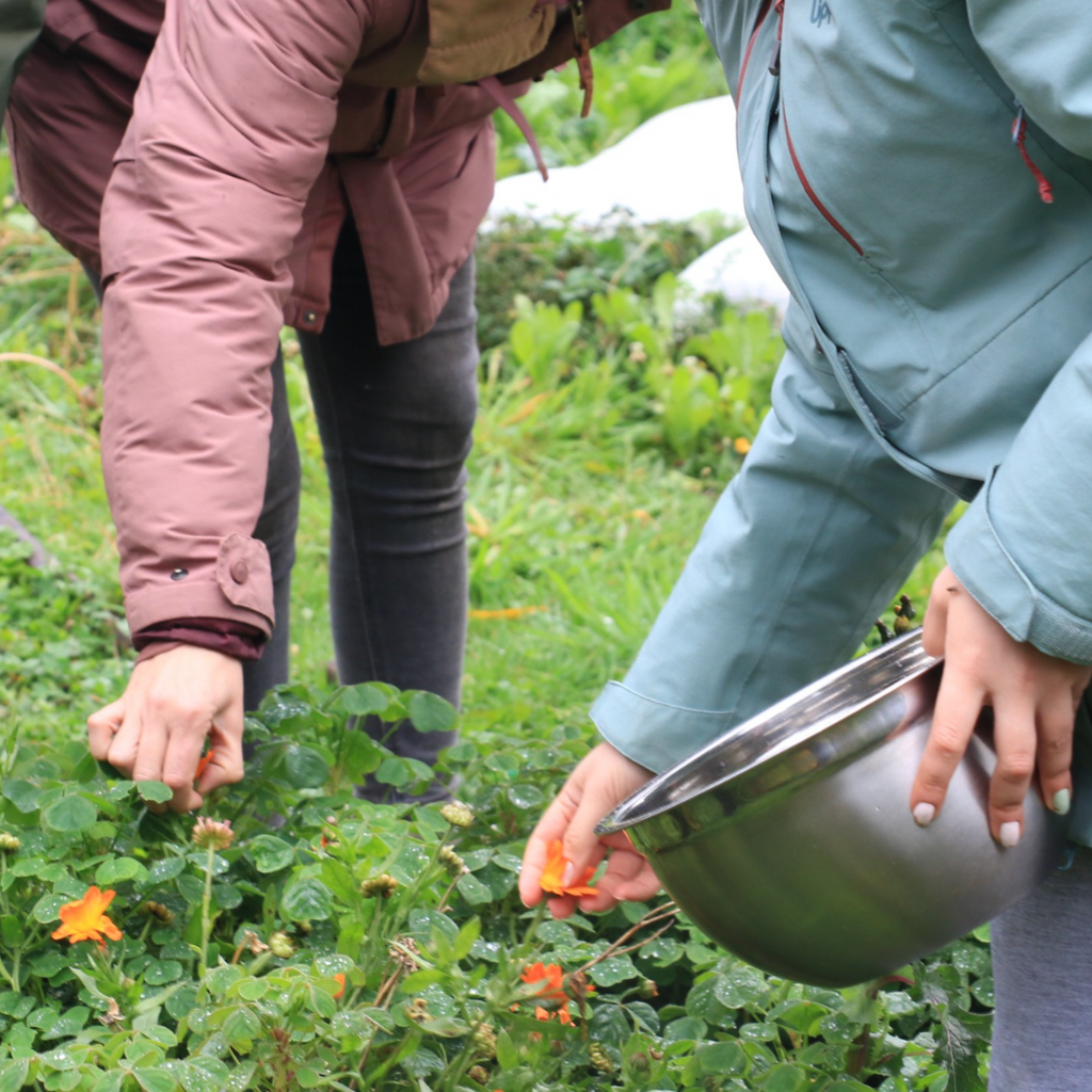 Biocosmética del bosque