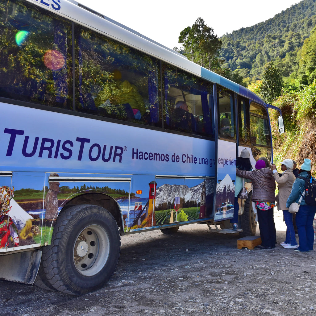 Cruce Andino - Desde Puerto Varas a Bariloche