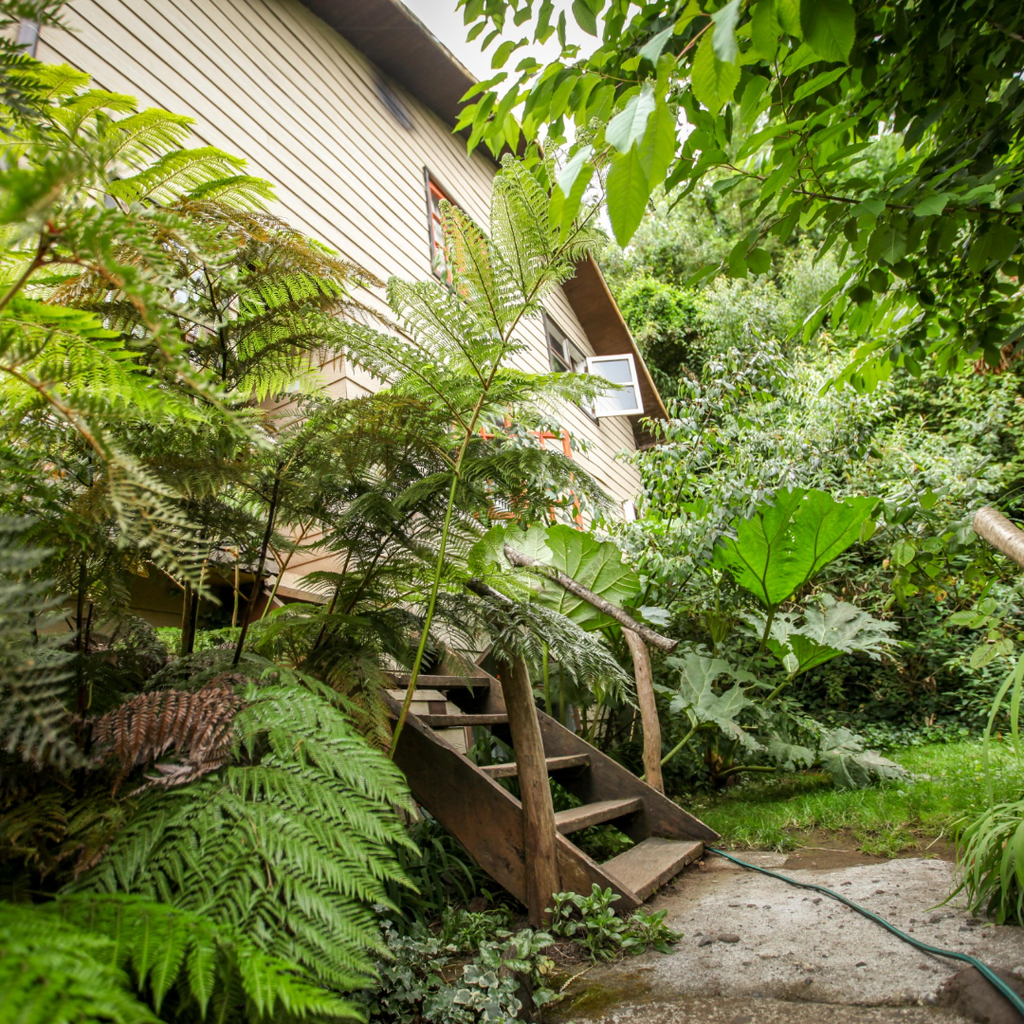 Habitación doble Hostal la Casa del Carpintero - Coñaripe