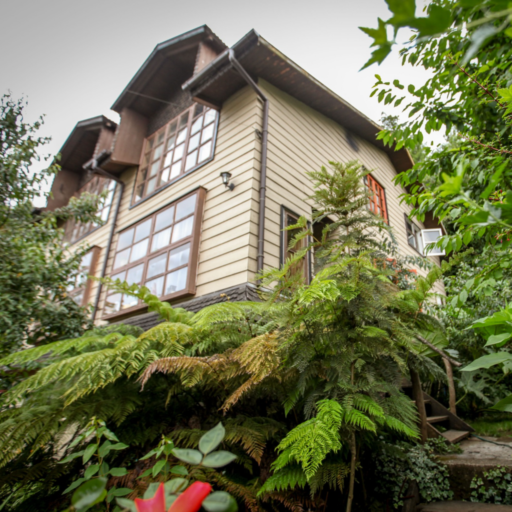 Hostal la Casa del Carpintero, Single Rooms - Coñaripe