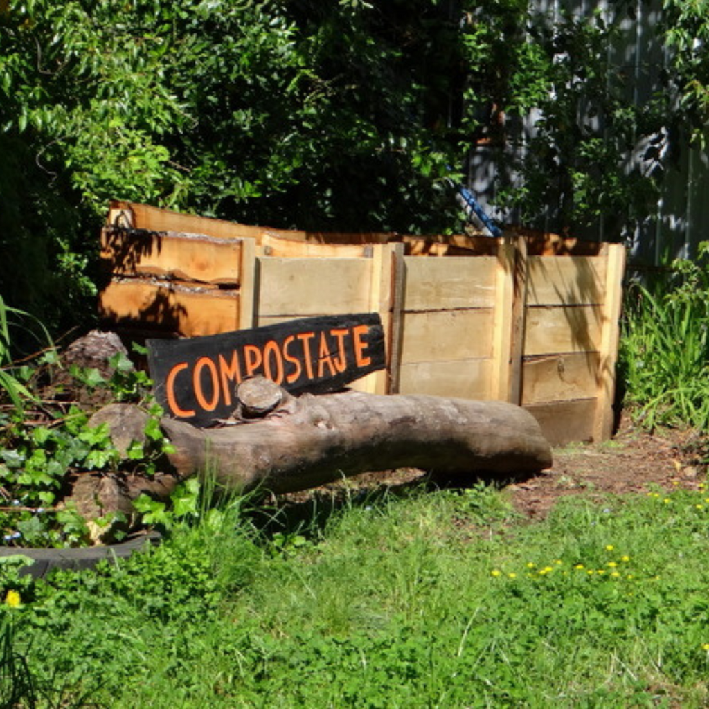 Hostal la Casa del Carpintero, Single Rooms - Coñaripe