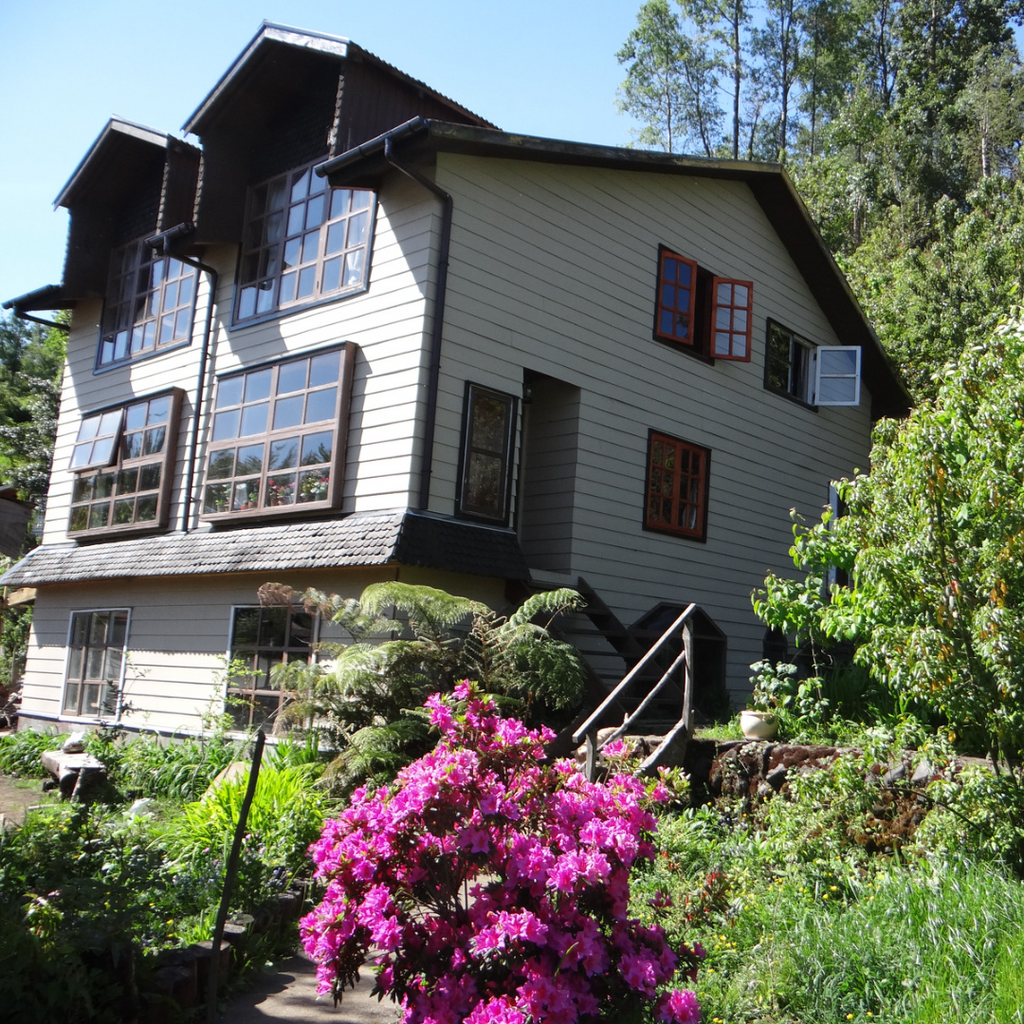 Hostal la Casa del Carpintero, Single Rooms - Coñaripe