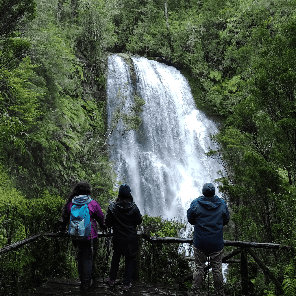 Sendero Alerces Milenarios y Cascada Escondida - Parque Pumalín