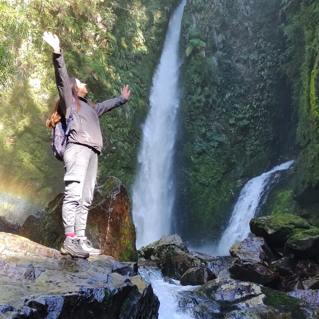 Sendero Alerces Milenarios y Cascada Escondida - Parque Pumalín