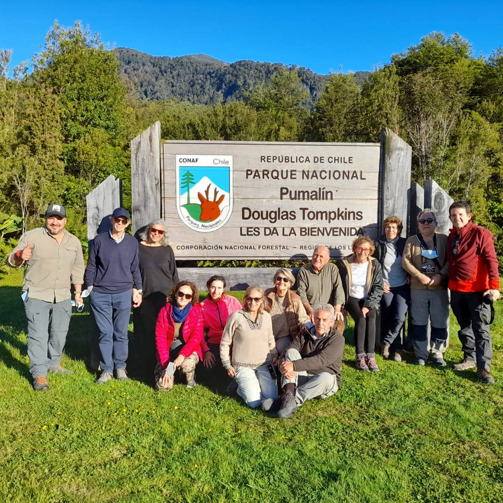 Sendero al Volcán Chaitén - Parque Pumalín
